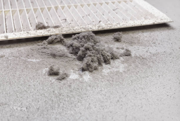 Best Air Vent Cleaning Services  in Heidelberg, TX