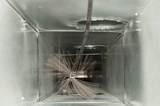 Best Professional Duct Cleaning Services  in Heidelberg, TX
