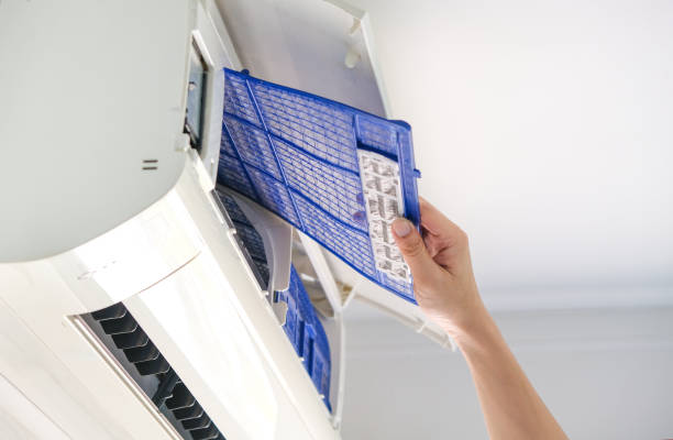 Best Dryer Vent Cleaning Services  in Heidelberg, TX