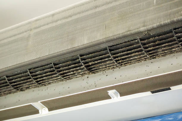 Best Affordable HVAC Duct Cleaning  in Heidelberg, TX